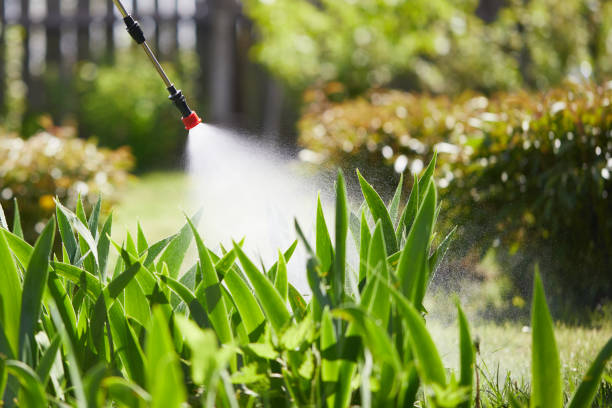 Tamper-Resistant Bait Stations for Rodents in Ben Avon