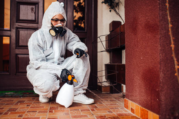 Attic and Crawl Space Rodent Treatment in Ben Avon