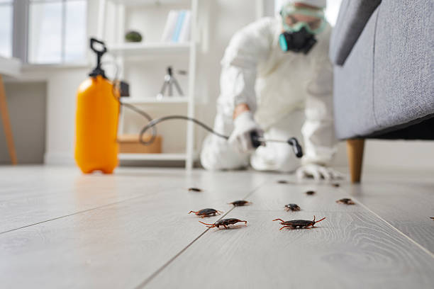 Commercial Rodent Management in Ben Avon